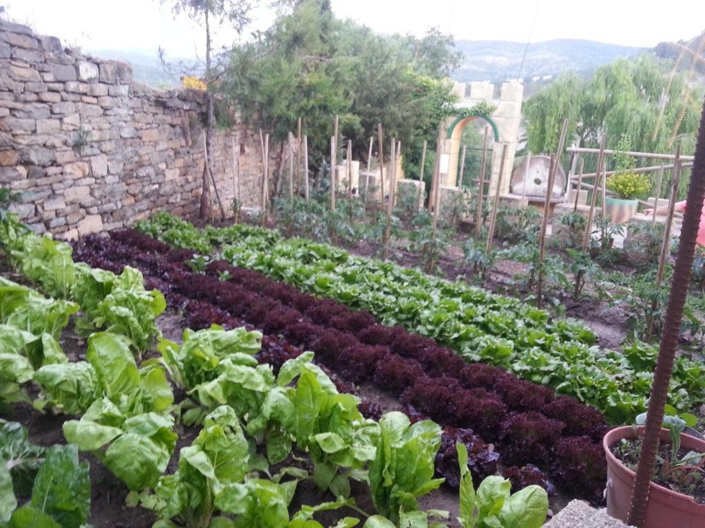 Las Bodegas De Claveria El Humo de Muro Zewnętrze zdjęcie